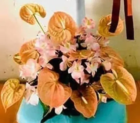 ภาพขยายพุ่มหน้าวัวสีพีชอมส้มแซมดอกเล็กสีชมพูอ่อนและใบเขียวเข้มที่โคนเสาพัดลม