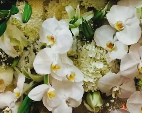 กล้วยไม้ฟาแลนขาวใจเหลืองหลายดอก แซมลิลลี่ตูมสีเขียวและกุหลาบขาวนวลครึ่งล่างของวง