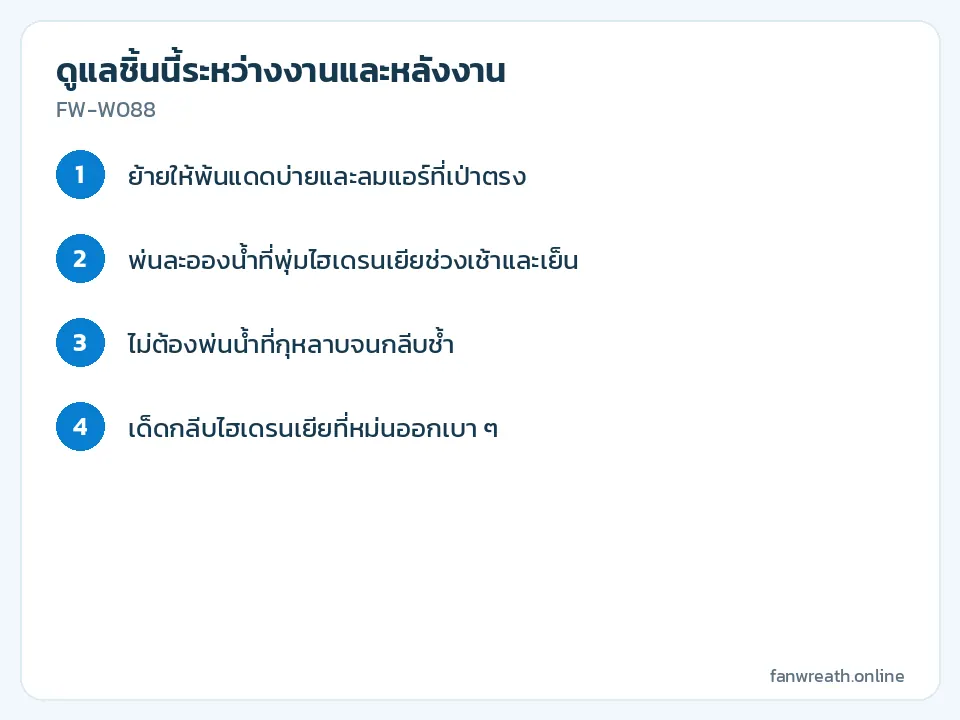 การ์ดขั้นตอนดูแลหรีดไฮเดรนเยียฟ้า เน้นหลบแดดหลบลมแอร์และพ่นละอองน้ำ