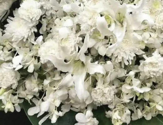 ลิลลี่ขาวดอกใหญ่ล้อมด้วยเบญจมาศขาวกลีบฝอย คาร์เนชั่นขาว และช่อกล้วยไม้ขาว